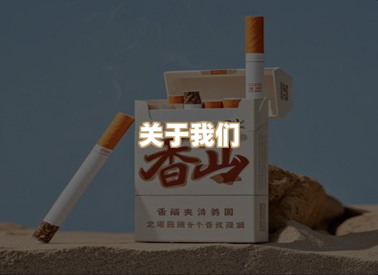 关于逸客网